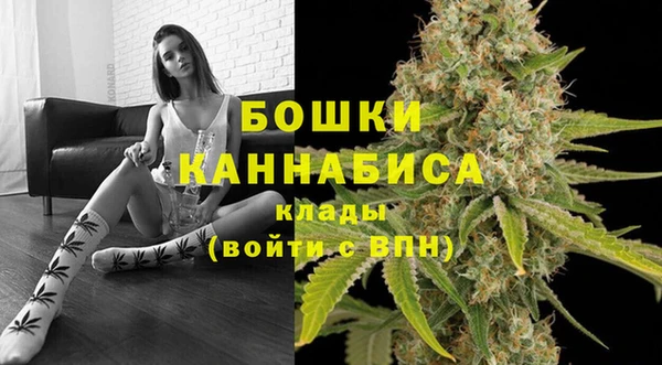 ECSTASY Богородицк